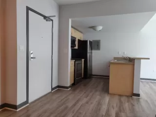 Photo #3: 240000599 Listing