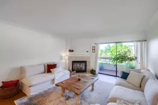 Photo #1: 240000662 Listing