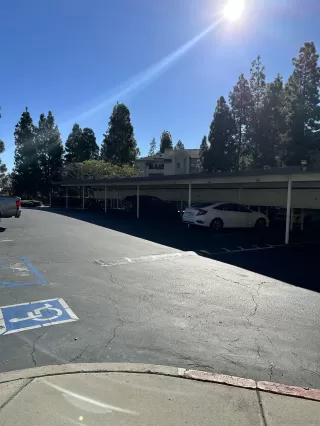 Photo #2: 240000726 Listing