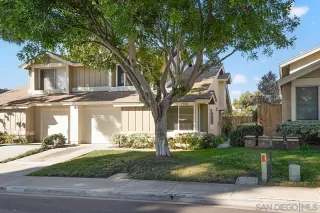 Photo #1: 240000807 Listing 