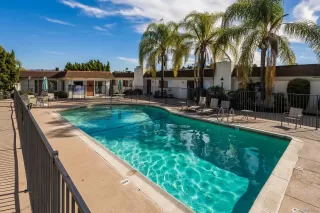 Photo #1: 240000913 Listing 