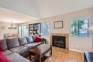 Photo #1: 240000978 Listing 