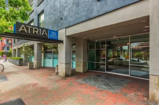 Photo #4: 240000991 Listing