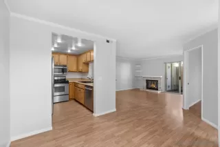 Photo #5: 240001237 Listing