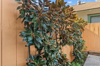 Photo #3: 240001298 Listing