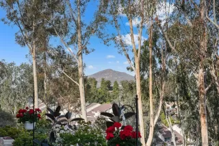 Photo #6: 240001331 Listing