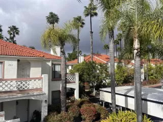 Photo #4: 240001541 Listing