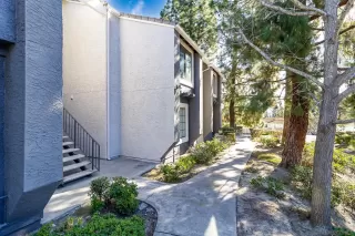 Photo #4: 240002041 Listing