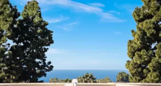 More Details about MLS # 240002089 : 2420 TORREY PINES UNIT A303