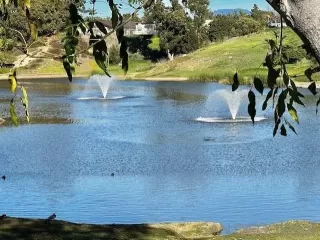 Photo #1: 240002174 Listing 