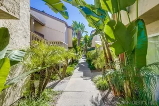 Photo #1: 240002205 Listing