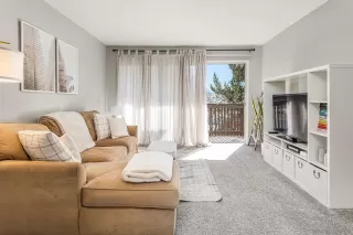 Photo #1: 240002234 Listing