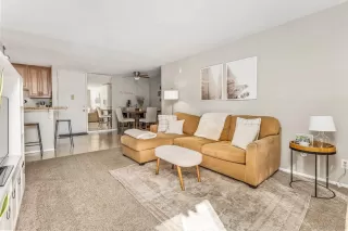 Photo #5: 240002234 Listing