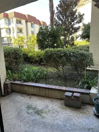 Photo #1: 240002256 Listing