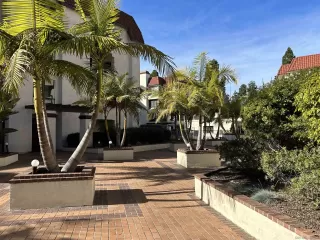 Photo #2: 240002256 Listing