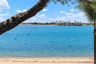 Photo #1: 240002319 Listing 