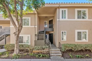 Photo #1: 240002325 Listing