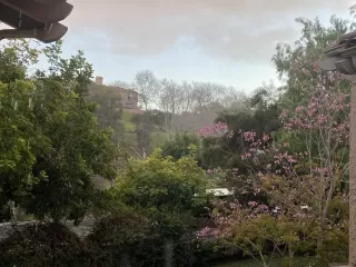 Photo #6: 240002352 Listing 