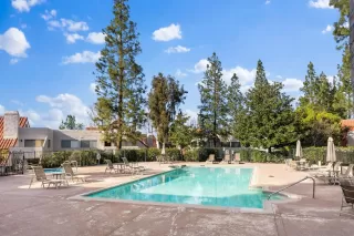 Photo #1: 240002428 Listing