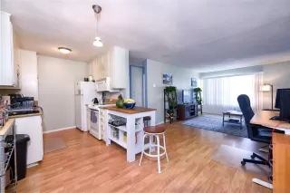 Photo #1: 240002455 Listing