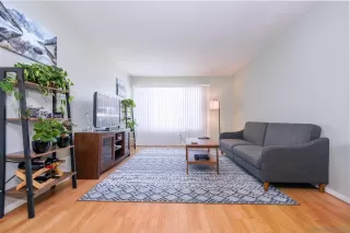 Photo #6: 240002455 Listing