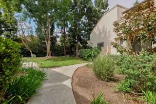 Photo #1: 240002504 Listing