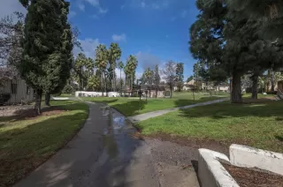 Photo #3: 240002834 Listing