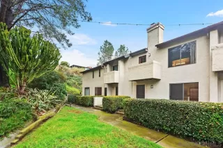 Photo #1: 240002918 Listing 