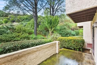 Photo #6: 240002918 Listing 