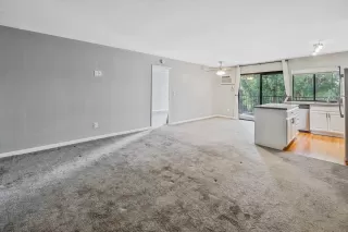 Photo #1: 240002972 Listing 