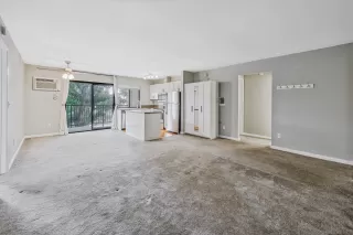 Photo #2: 240002972 Listing 