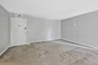 Photo #3: 240002972 Listing 