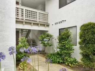 Photo #1: 240002999 Listing