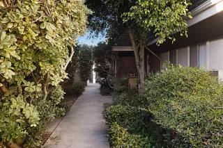 Photo #1: 240003180 Listing 