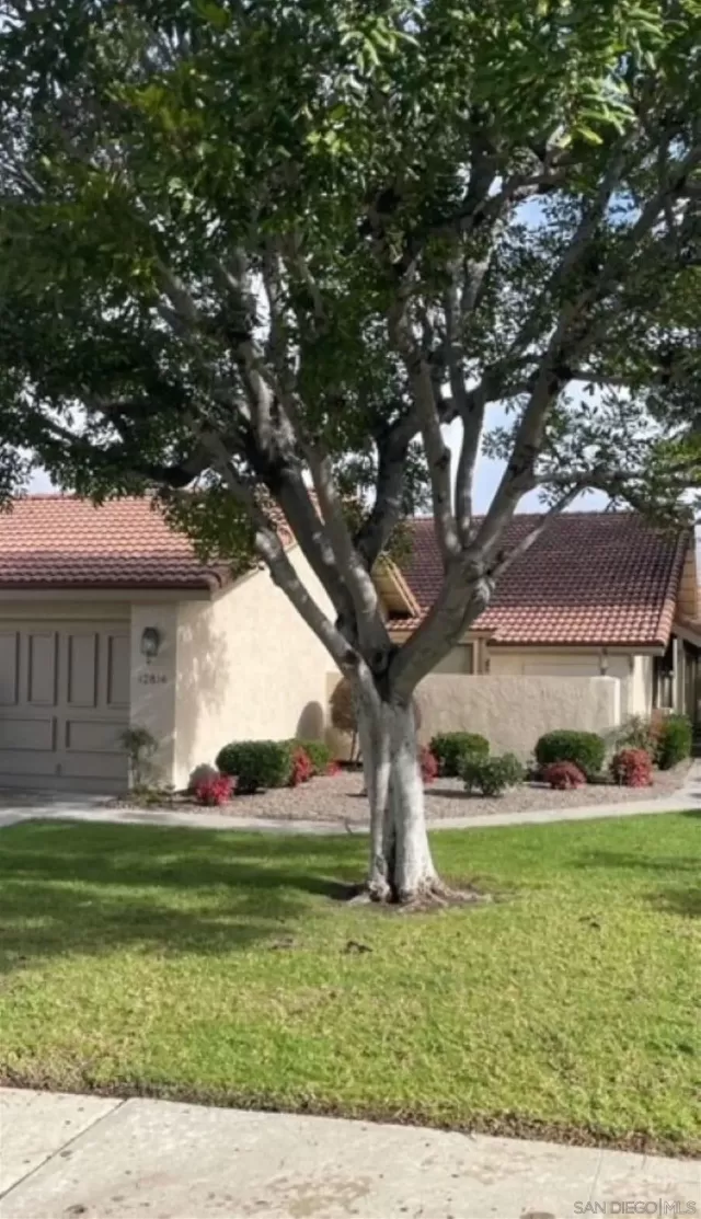 MLS: 240003205 Condo For Sale