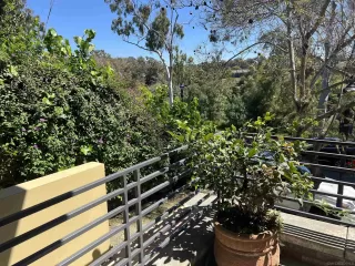 Photo #2: 240003280 Listing