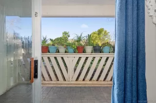 Photo #5: 240003289 Listing