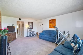 Photo #6: 240003296 Listing