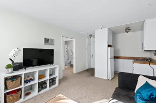 Photo #6: 240003354 Listing 