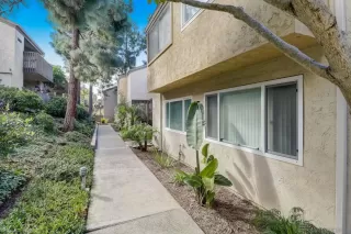 Photo #1: 240003483 Listing 