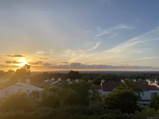 Photo #1: 240003491 Listing 