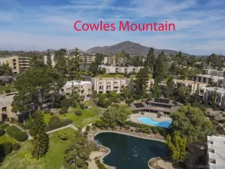 Photo #4: 240003495 Listing