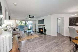 Photo #1: 240003559 Listing 