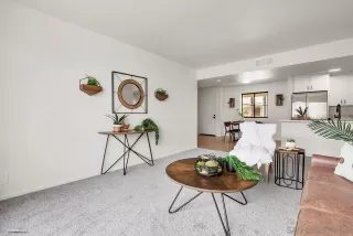 Photo #1: 240003603 Listing