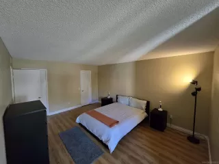 Photo #5: 240003681 Listing