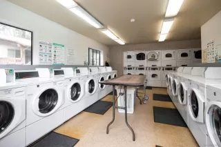 Photo #4: 240003708 Listing