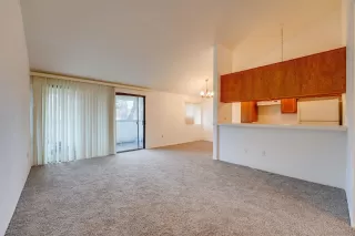 More Details about MLS # 240003752 : 6216 AGEE STREET UNIT 114