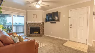 Photo #1: 240003806 Listing 