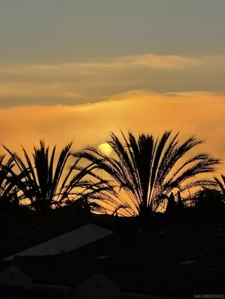 Photo #3: 240003955 Listing 