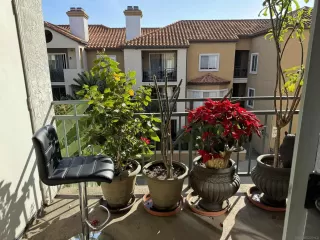 Photo #3: 240003961 Listing